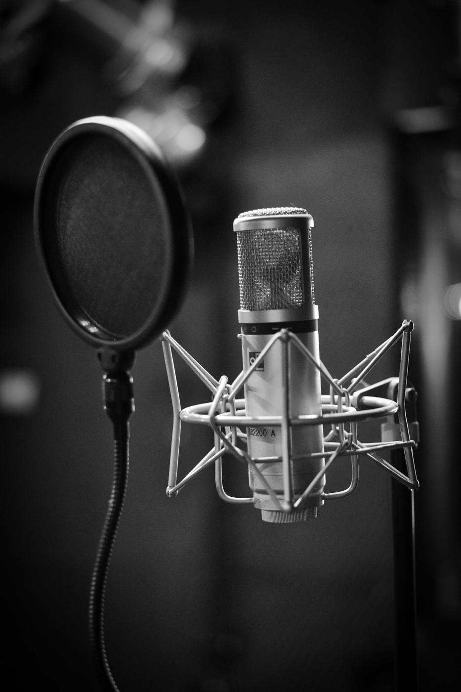 Voice recording — placeholder